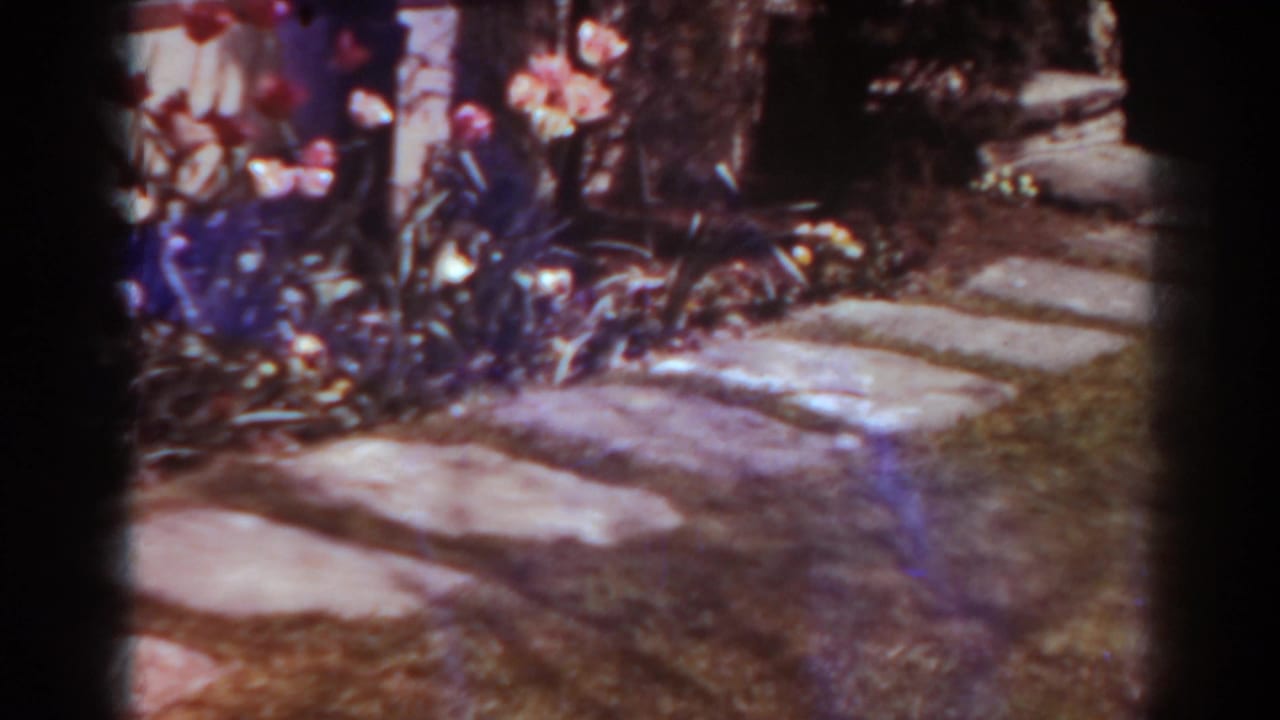 Home-movie frame of a West Virginia garden path with blooming tulips, foliage, and a brick or stone border in soft 8mm color.