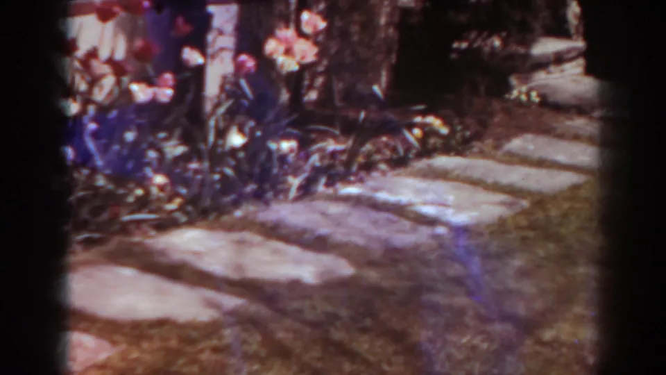 Home-movie frame of a West Virginia garden path with blooming tulips, foliage, and a brick or stone border in soft 8mm color.