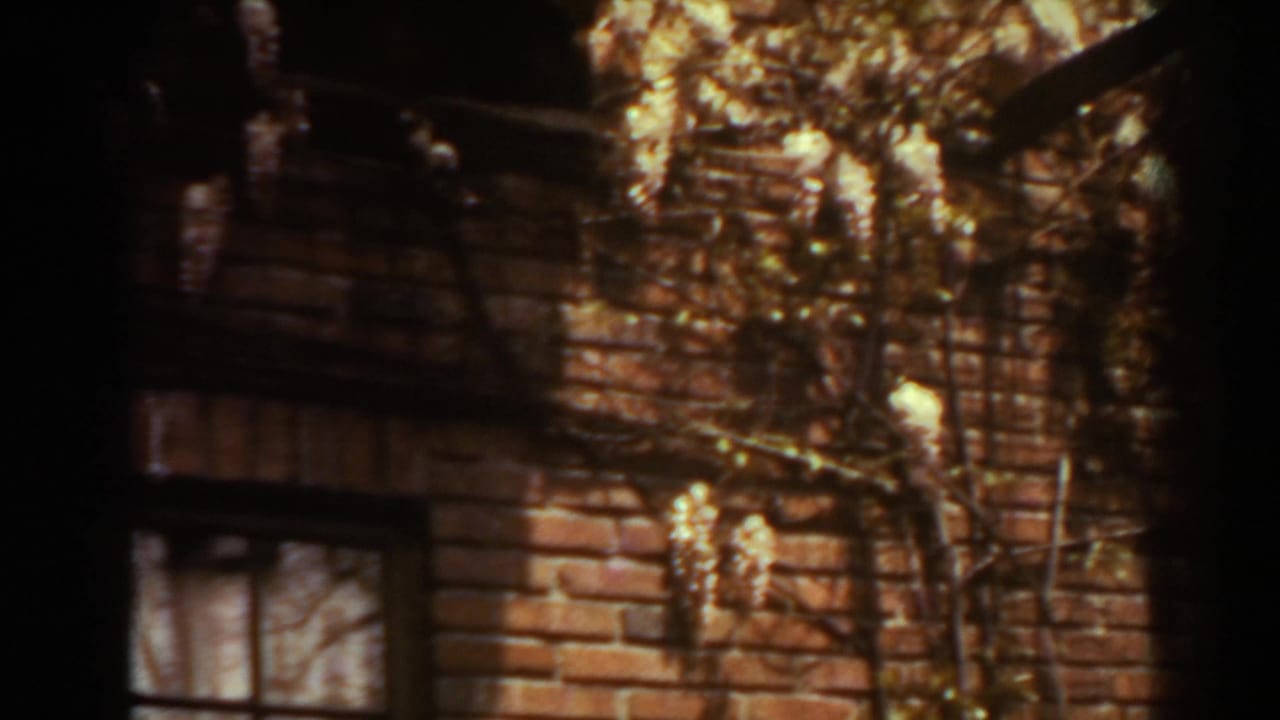 1938 West Virginia 8mm frame showing a brick exterior, window edge, and climbing garden foliage near the flowers.