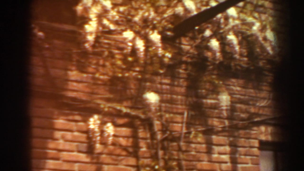 1938 West Virginia 8mm frame showing an old red brick exterior with vines, pipes, and dappled sunlight across the wall.
