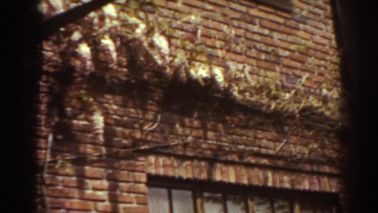 1938 West Virginia home-movie frame showing brickwork, vine growth, pipework, and the top of a window opening in sunlight.