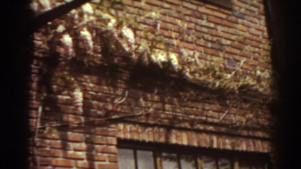 1938 West Virginia home-movie frame showing brickwork, vine growth, pipework, and the top of a window opening in sunlight.