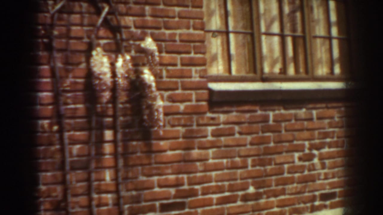 1938 West Virginia frame of an old brick building exterior with a barred window, pipework, vine clusters, and warm 8mm color.