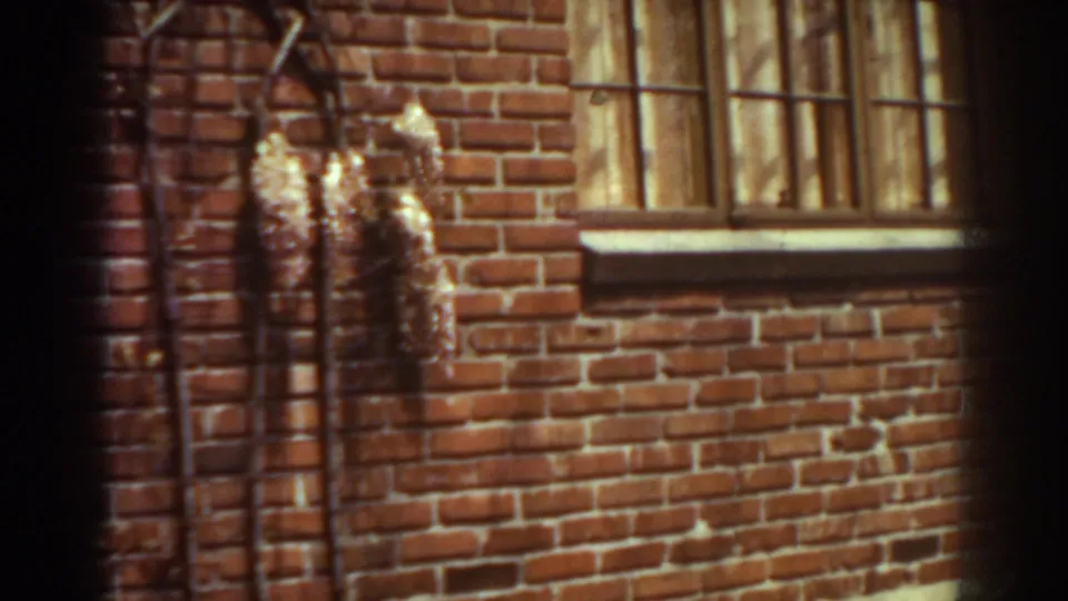 1938 West Virginia frame of an old brick building exterior with a barred window, pipework, vine clusters, and warm 8mm color.
