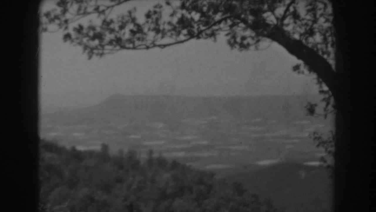 1938 West Virginia 8mm frame looking past a dark tree branch toward valley terrain and a distant mountain silhouette.
