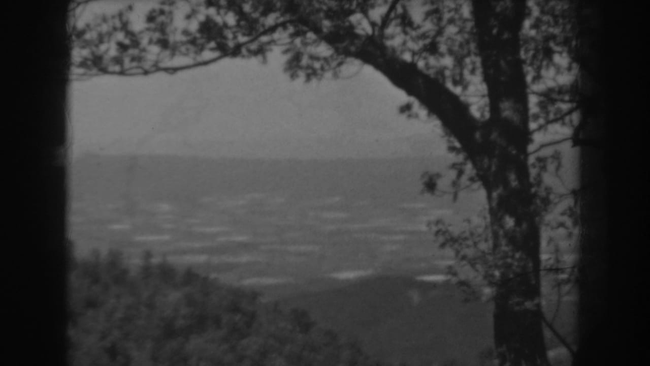 Tree-framed 1938 West Virginia overlook with a hazy city or industrial landscape in the distance.