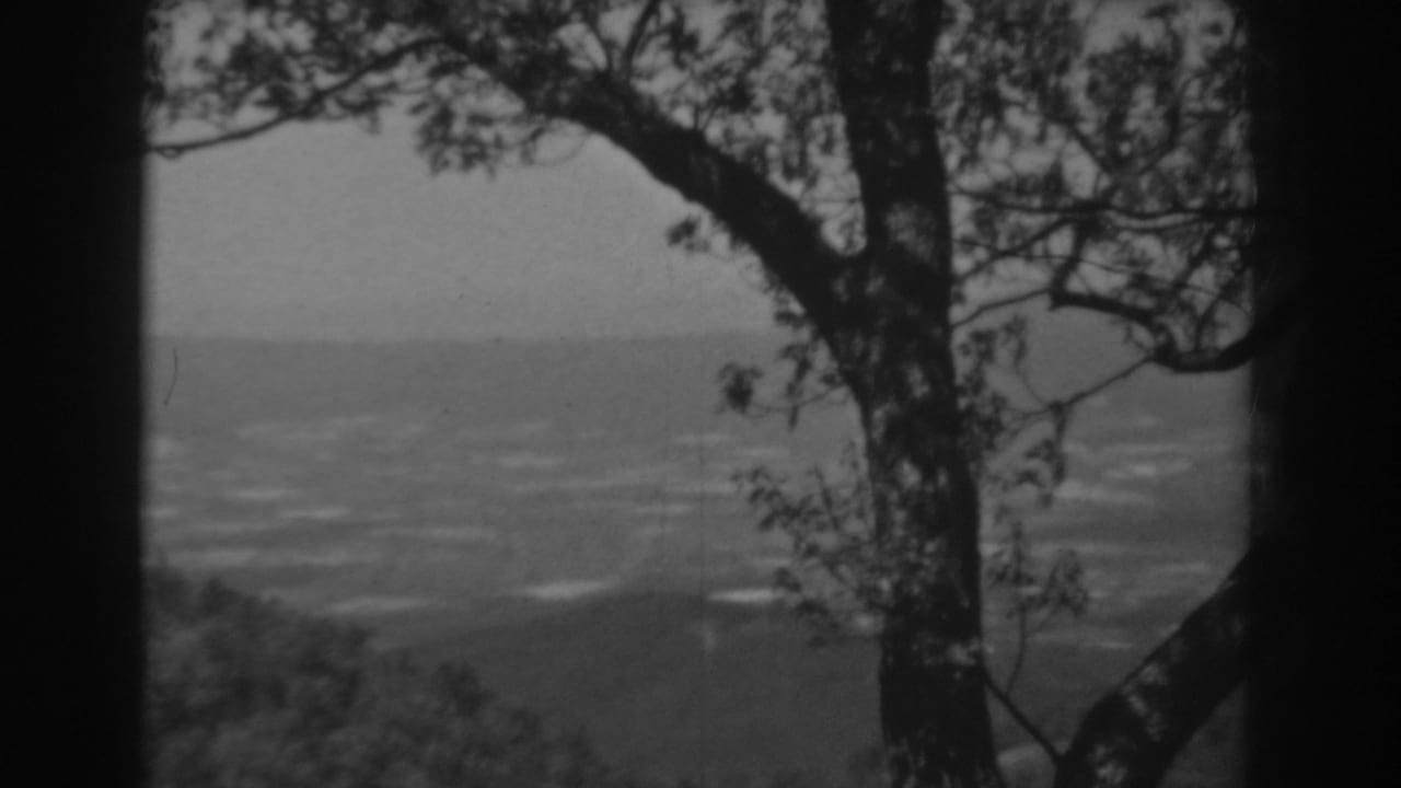 Black-and-white 8mm view of a West Virginia valley in 1938, partly obscured by a large tree silhouette.