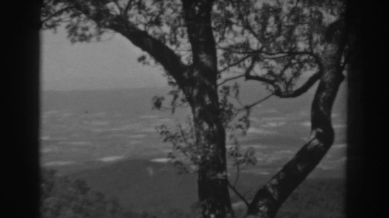 1938 West Virginia home-movie frame with a curved tree trunk in front of a hazy industrial or city panorama.