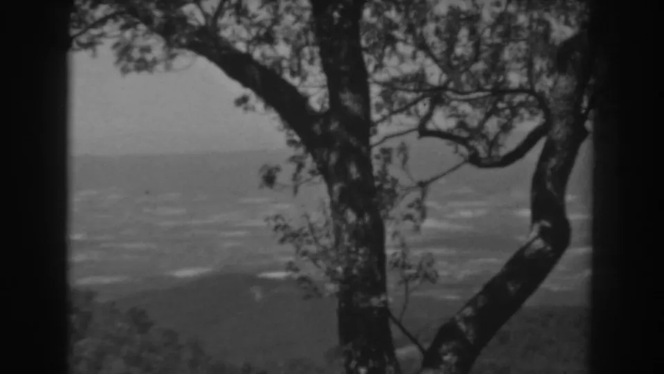 1938 West Virginia home-movie frame with a curved tree trunk in front of a hazy industrial or city panorama.
