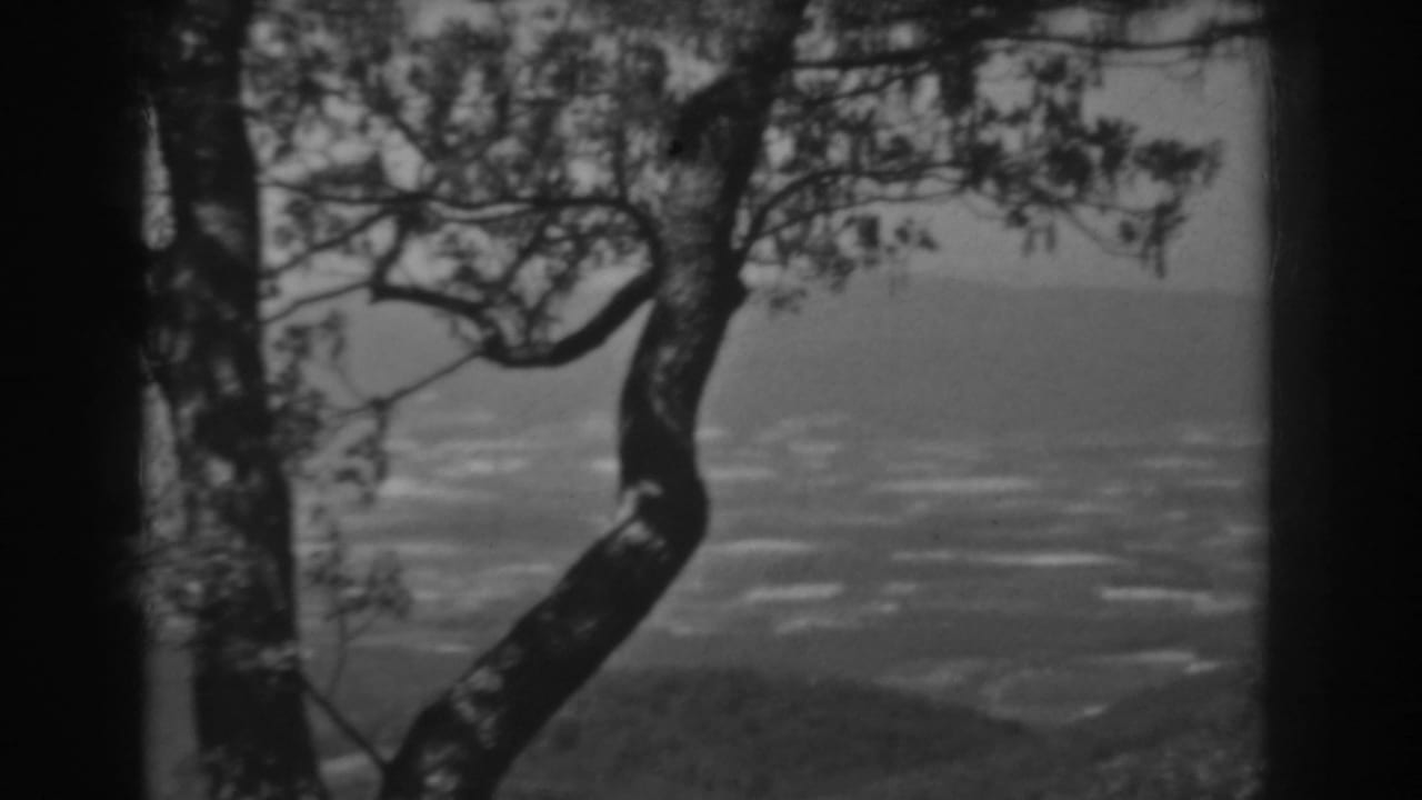 Vintage 8mm West Virginia landscape frame with a foreground tree and a broad, indistinct valley below.