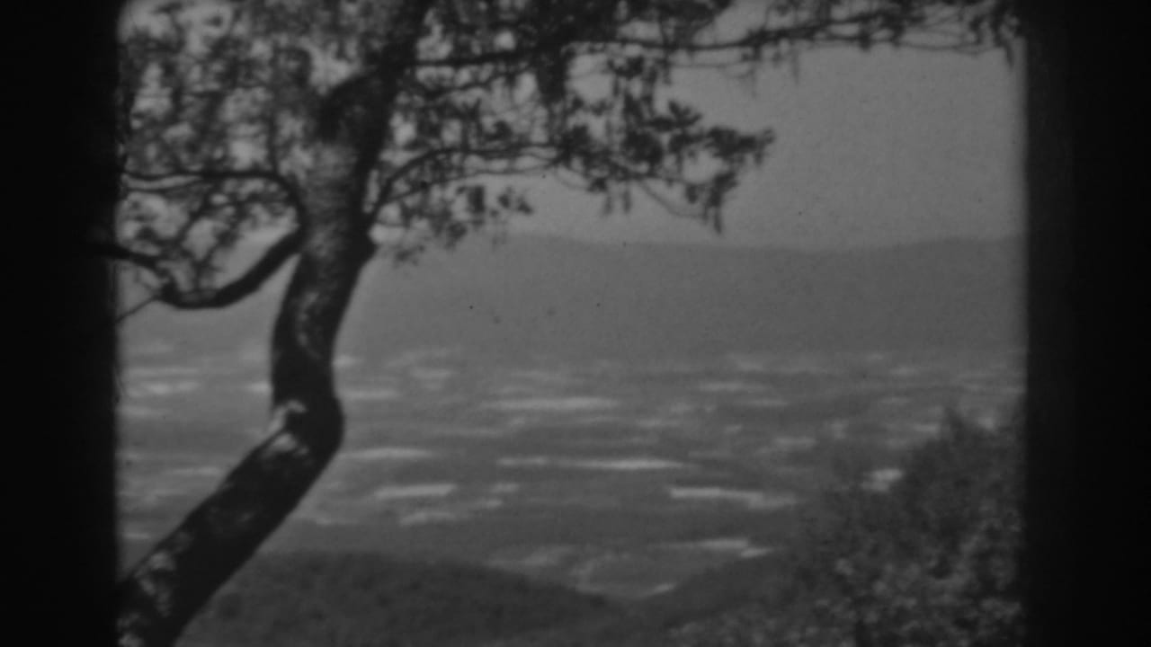 Final 1938 West Virginia 8mm frame with a silhouetted tree at the edge of a high valley overlook.