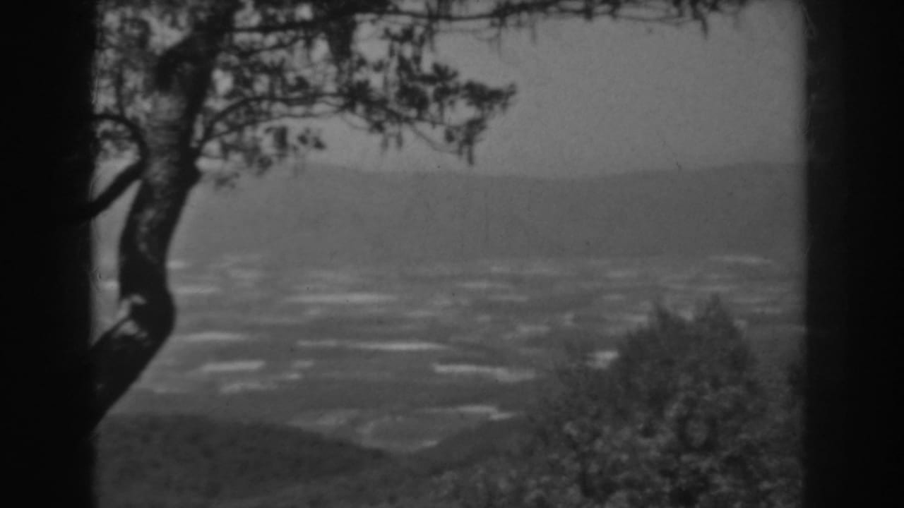 Tree trunks and branches frame a hazy mountain and farmland view.