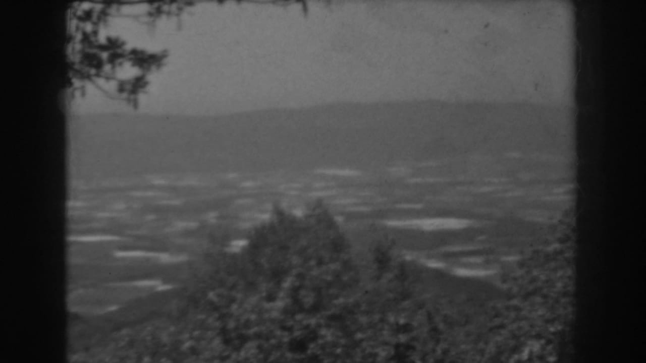 Black-and-white 8mm frame of a West Virginia hillside overlook, with foreground trees and hazy farmland below.