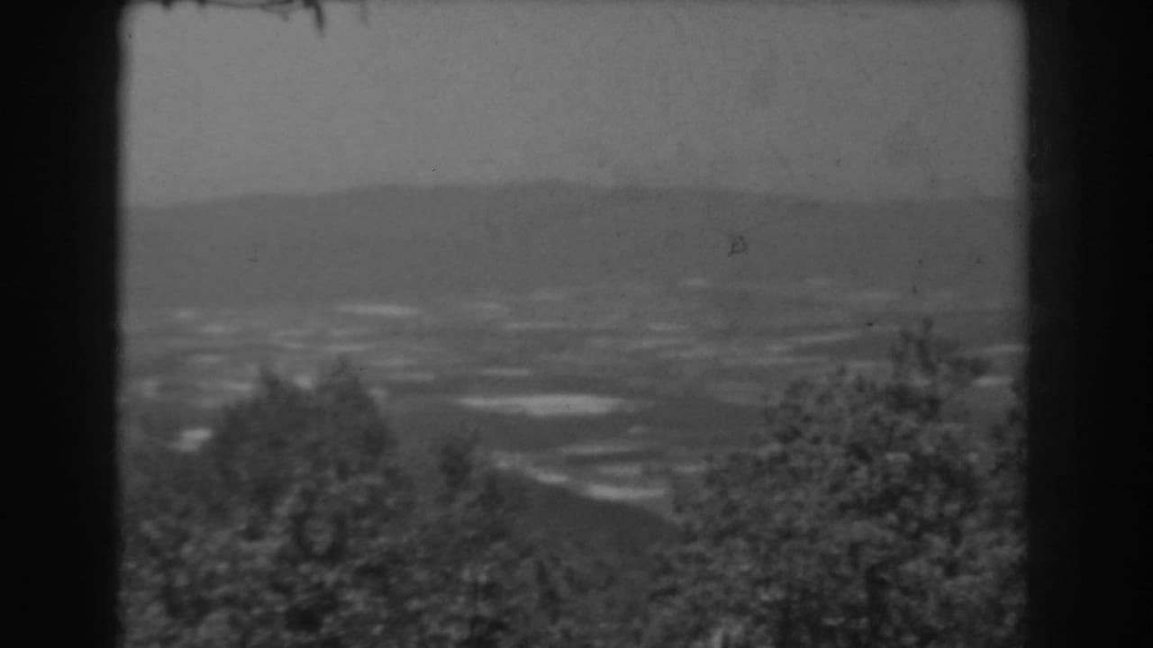 Late-1930s West Virginia landscape frame showing dark trees at the edge of a hazy mountain and farmland vista.