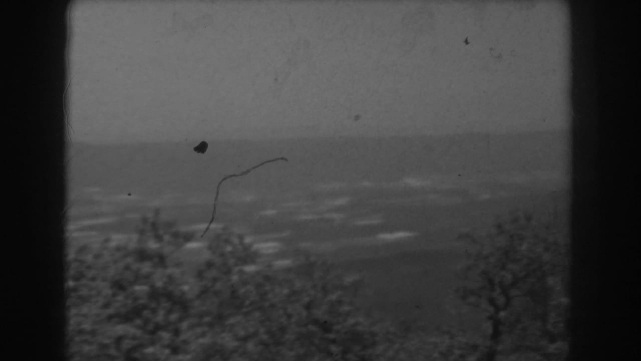 Late-1930s West Virginia home-movie frame of a hazy valley and treetops, marked by grain, dust, and dark window framing.