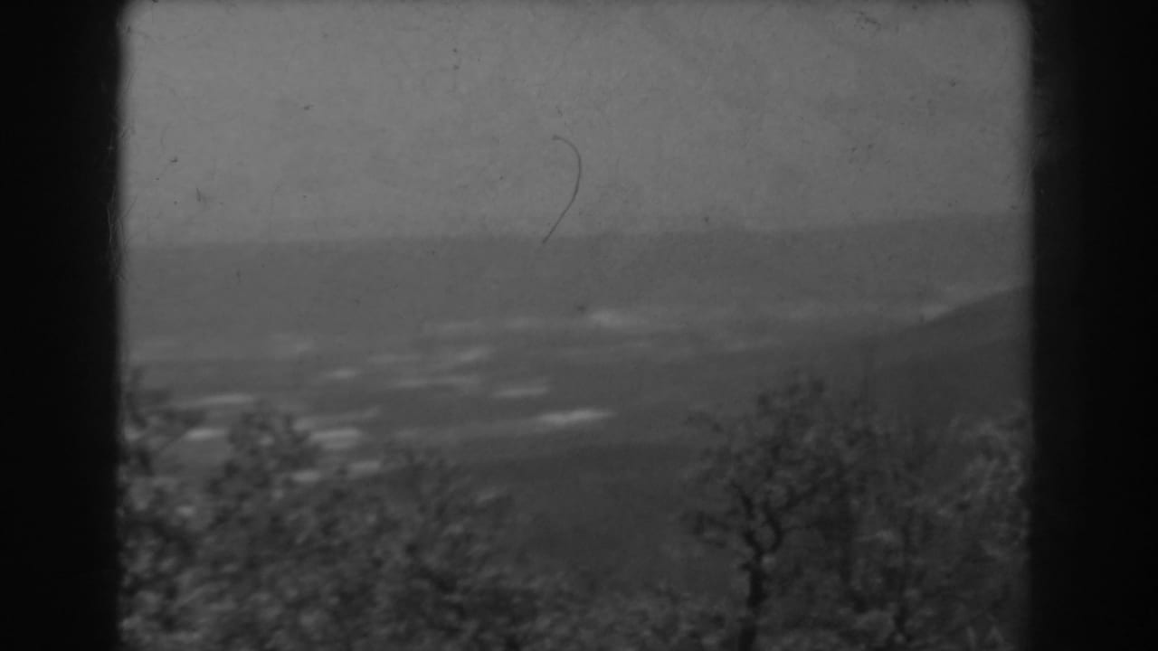 Foggy mountain valley seen past bare trees and dark 8mm frame edges.