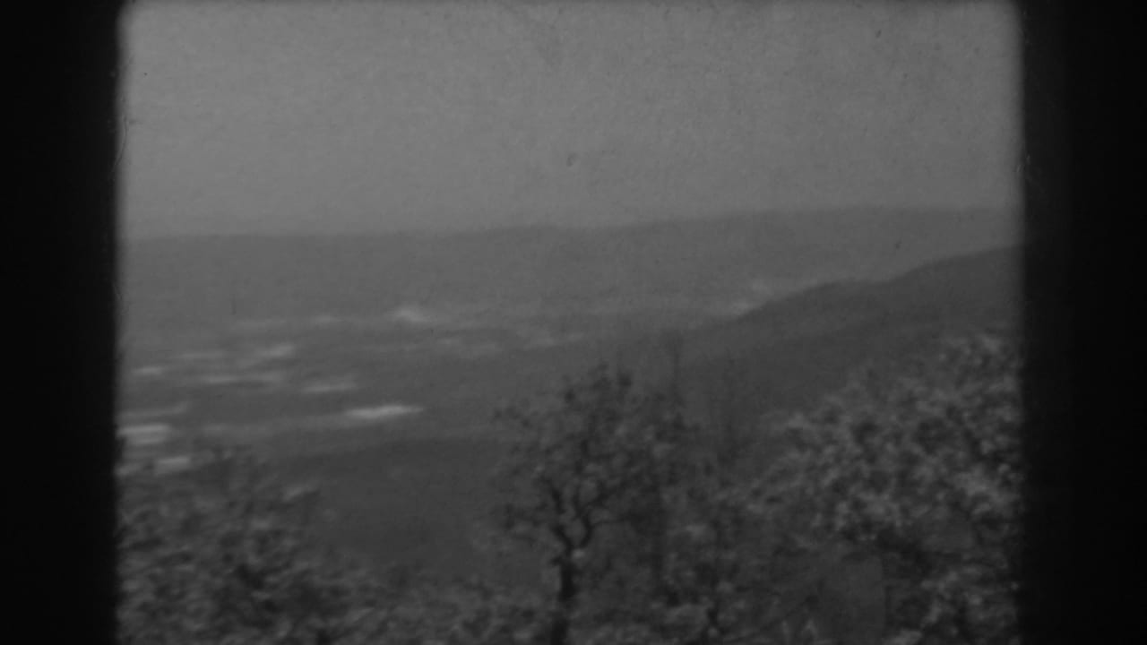 1938 West Virginia home-movie frame with a foggy valley, low mountain ridge, bare tree silhouette, and leafy branches at the edge.