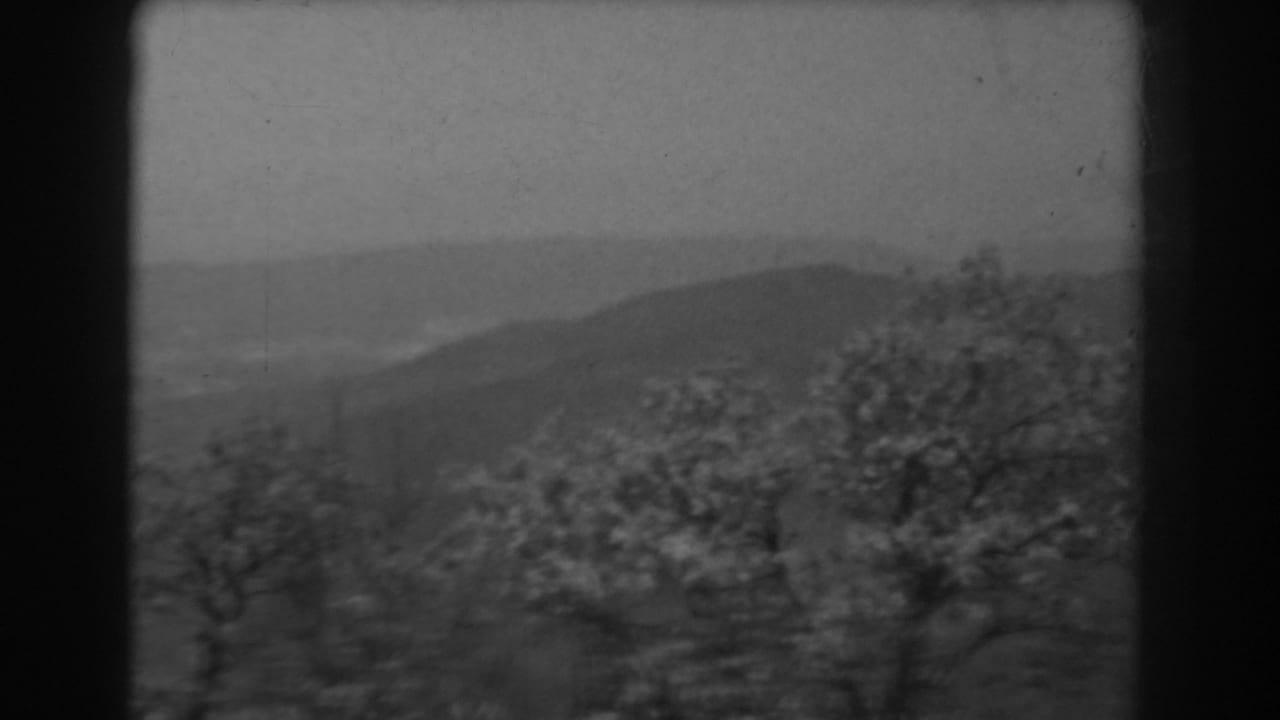 1938 West Virginia home-movie frame showing mist over hills, bare and leafy trees in front, and rounded 8mm frame borders.