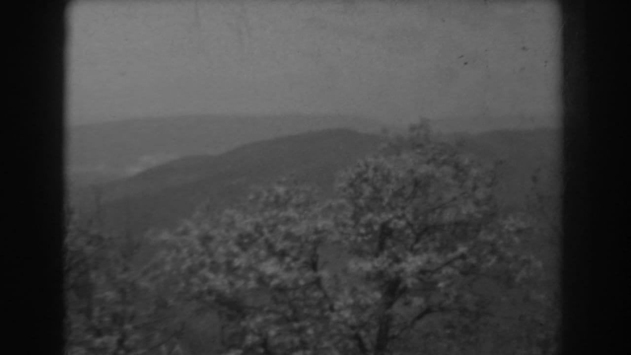 1938 West Virginia 8mm frame showing blossoming foreground trees and layered mountain ridges in soft cloudy light.