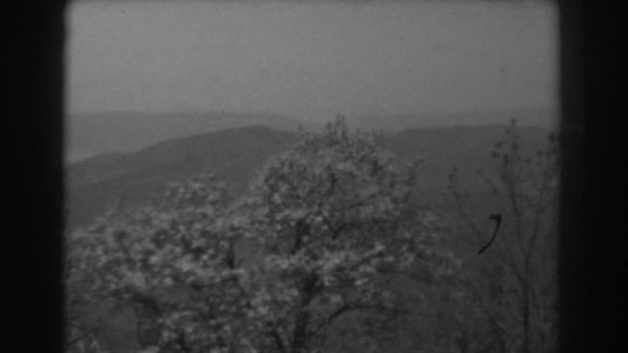 1938 West Virginia home-movie frame with blossoming trees, bare branches, and receding mountain ridges under overcast light.