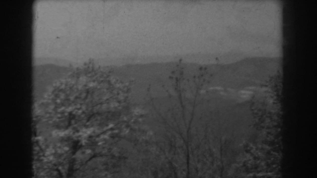 1938 West Virginia frame with foreground branches, blooming trees, faint valley details, and low mountain ridges beneath a cloudy sky.