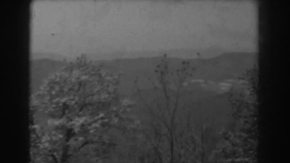 1938 West Virginia frame with foreground branches, blooming trees, faint valley details, and low mountain ridges beneath a cloudy sky.