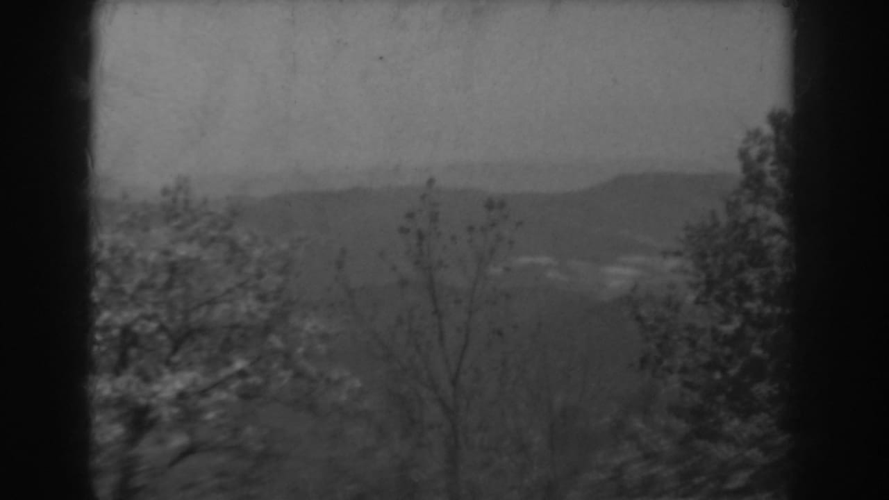 Wooded mountain overlook with hazy ridges and valley below.