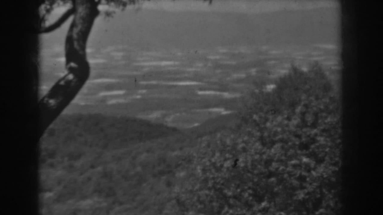 Black-and-white 1938 West Virginia view across layered hills and a valley, partially obscured by a dark foreground tree trunk.