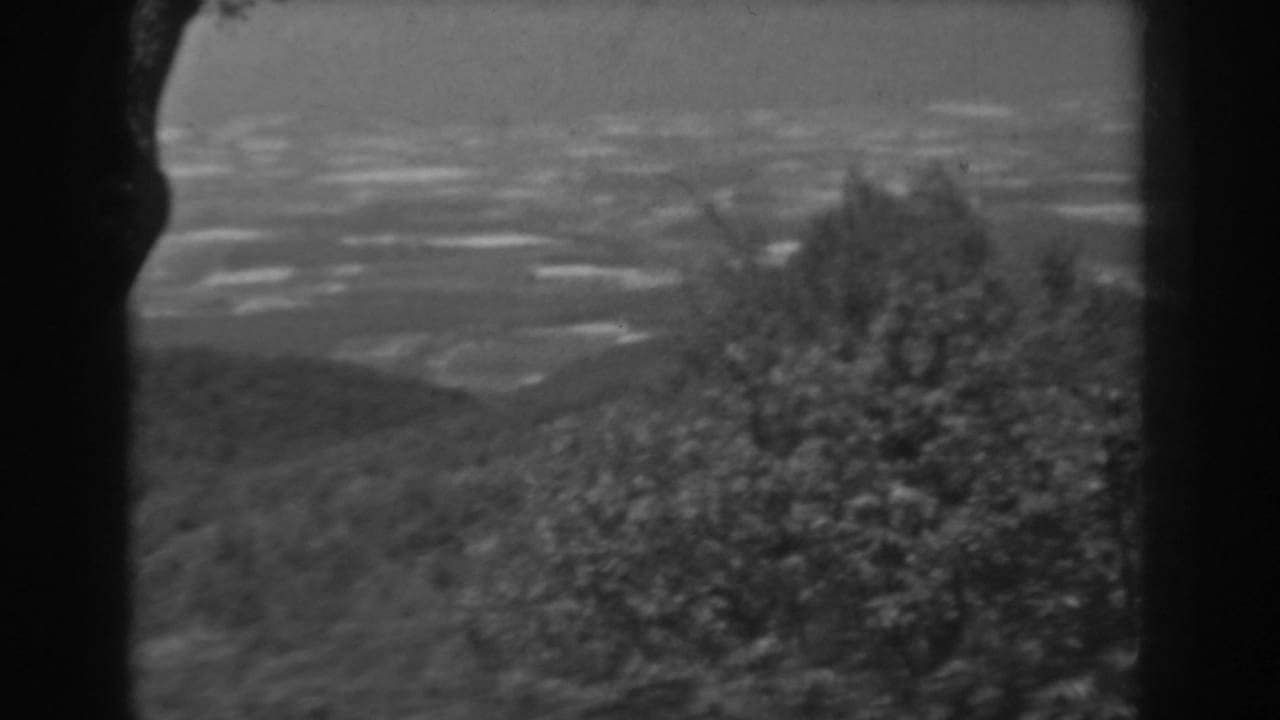 Black-and-white 1938 West Virginia frame showing a broad valley seen past trees, with ridges fading into haze.