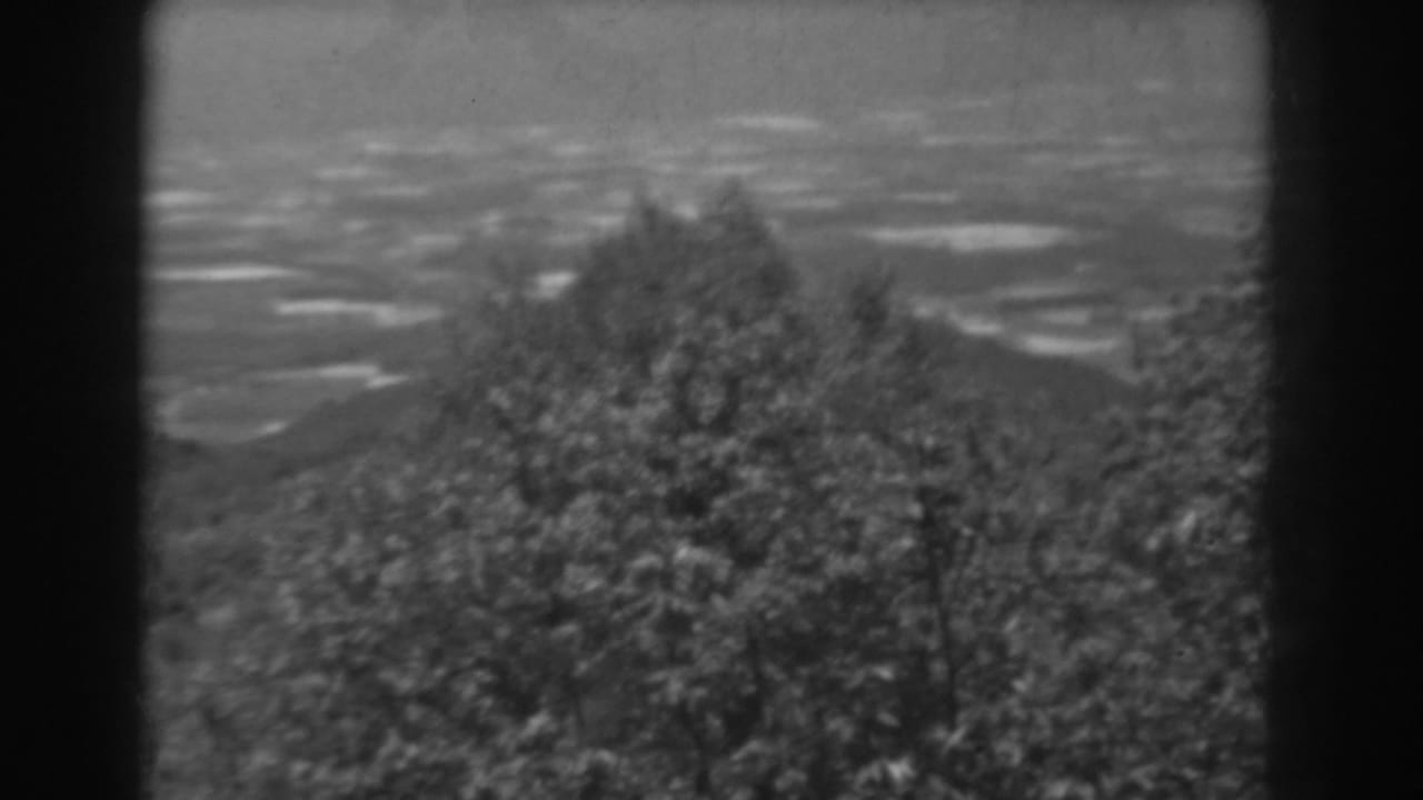 Black-and-white 1938 West Virginia home-movie frame of a distant mountain valley viewed through leafy foreground trees.