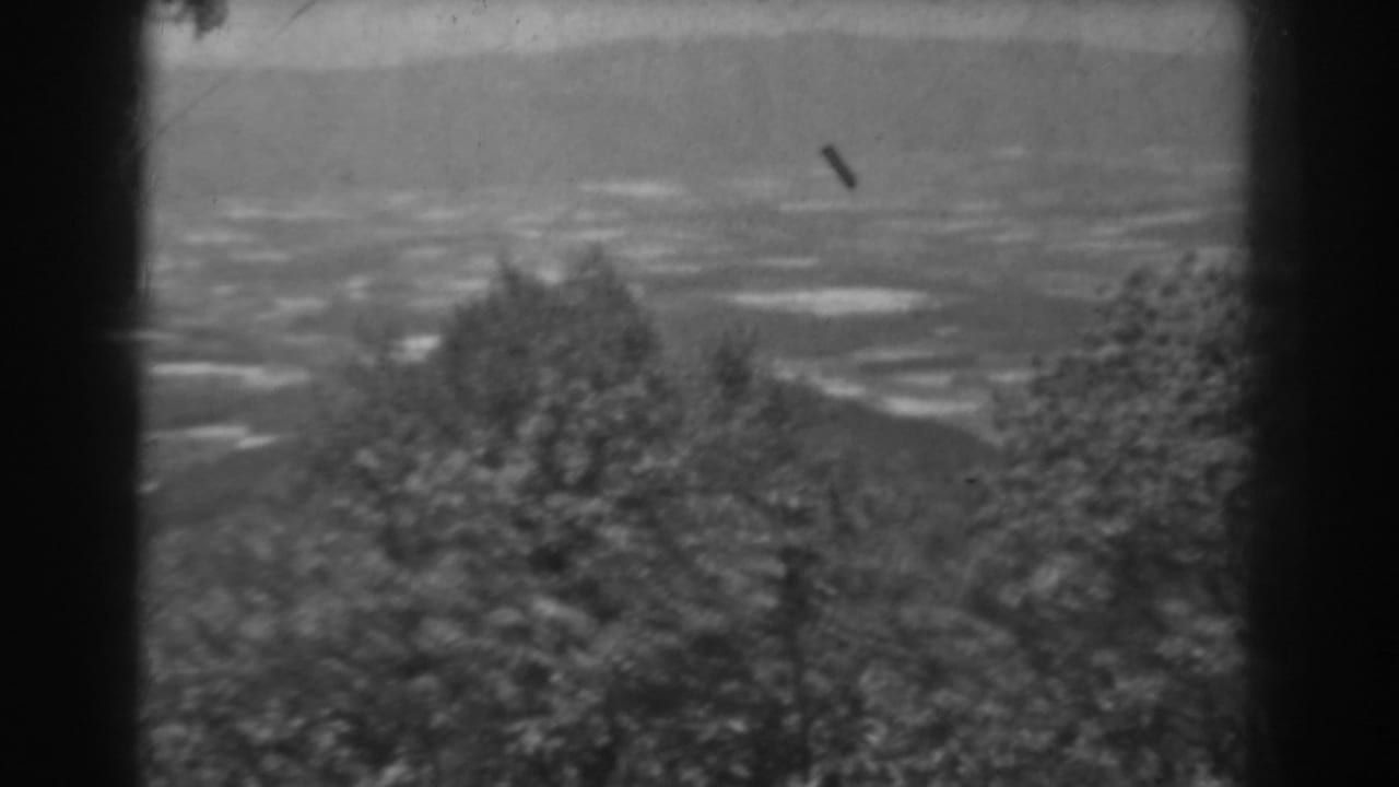 Distant valley seen beyond treetops in grainy black-and-white footage.