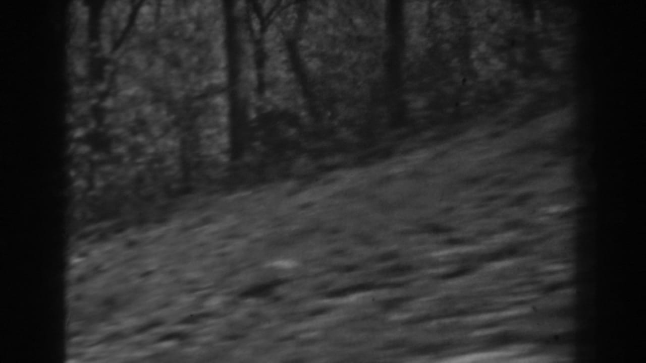 Black-and-white 8mm frame of a sloping wooded hillside in West Virginia, with bare trunks and motion blur.