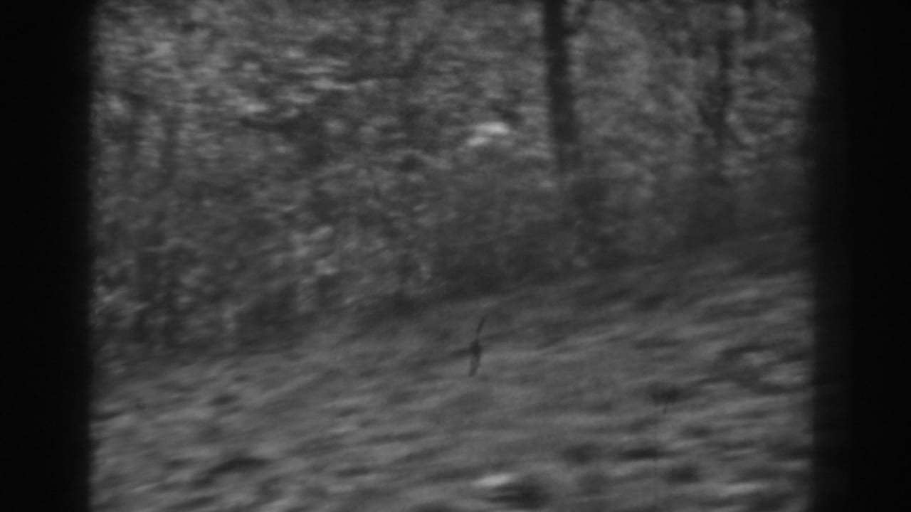 1938 rural West Virginia frame showing brush, tree trunks, and sloped ground with strong handheld motion blur.