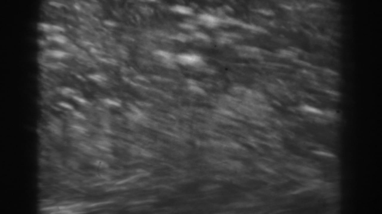 Black-and-white 8mm frame of hillside brush and ground texture, heavily blurred by quick camera movement.