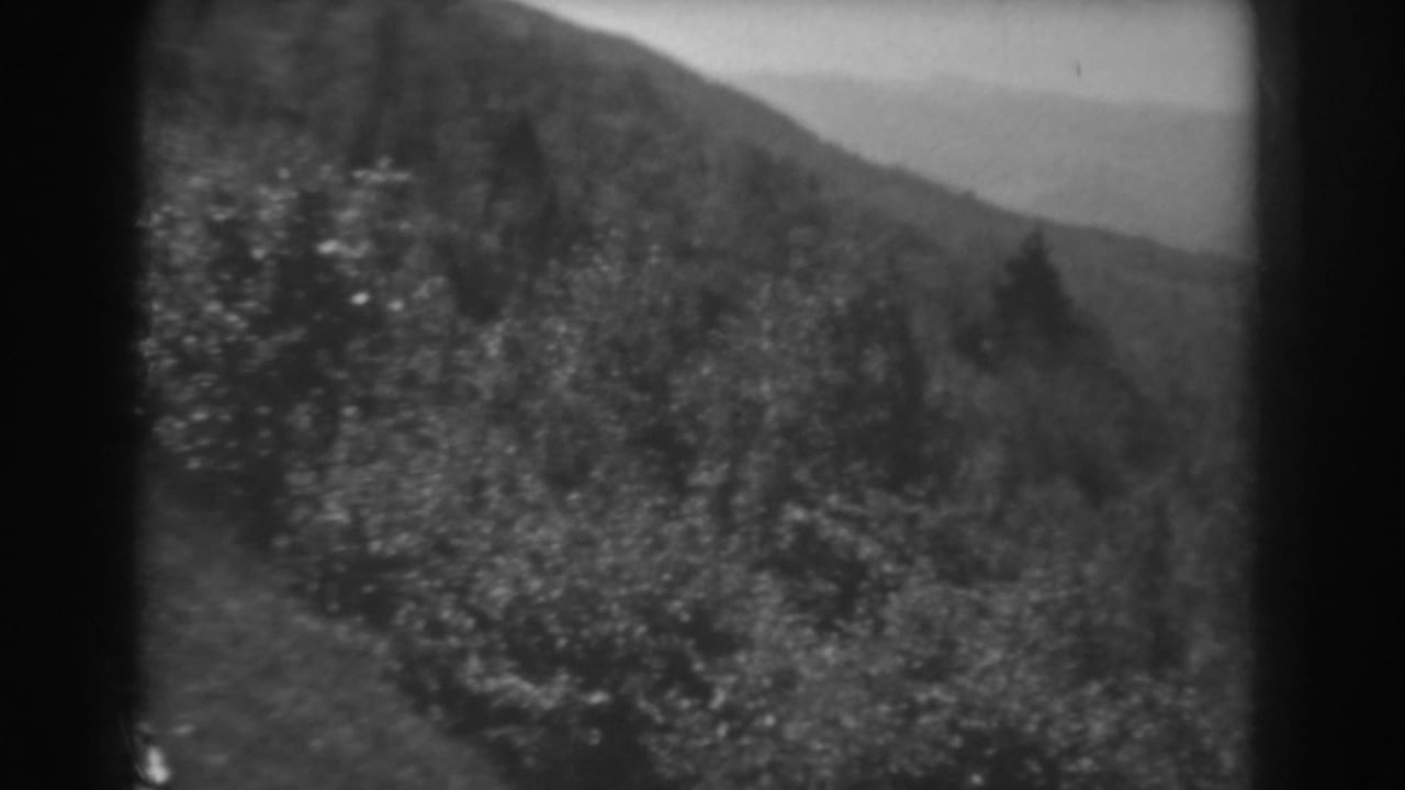 Wooded hillside with shrubs and distant mountain ridges in soft black-and-white film.