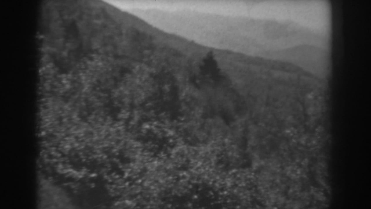Black-and-white 8mm view of a West Virginia hillside, with windblown shrubs and soft mountain ridges behind it.