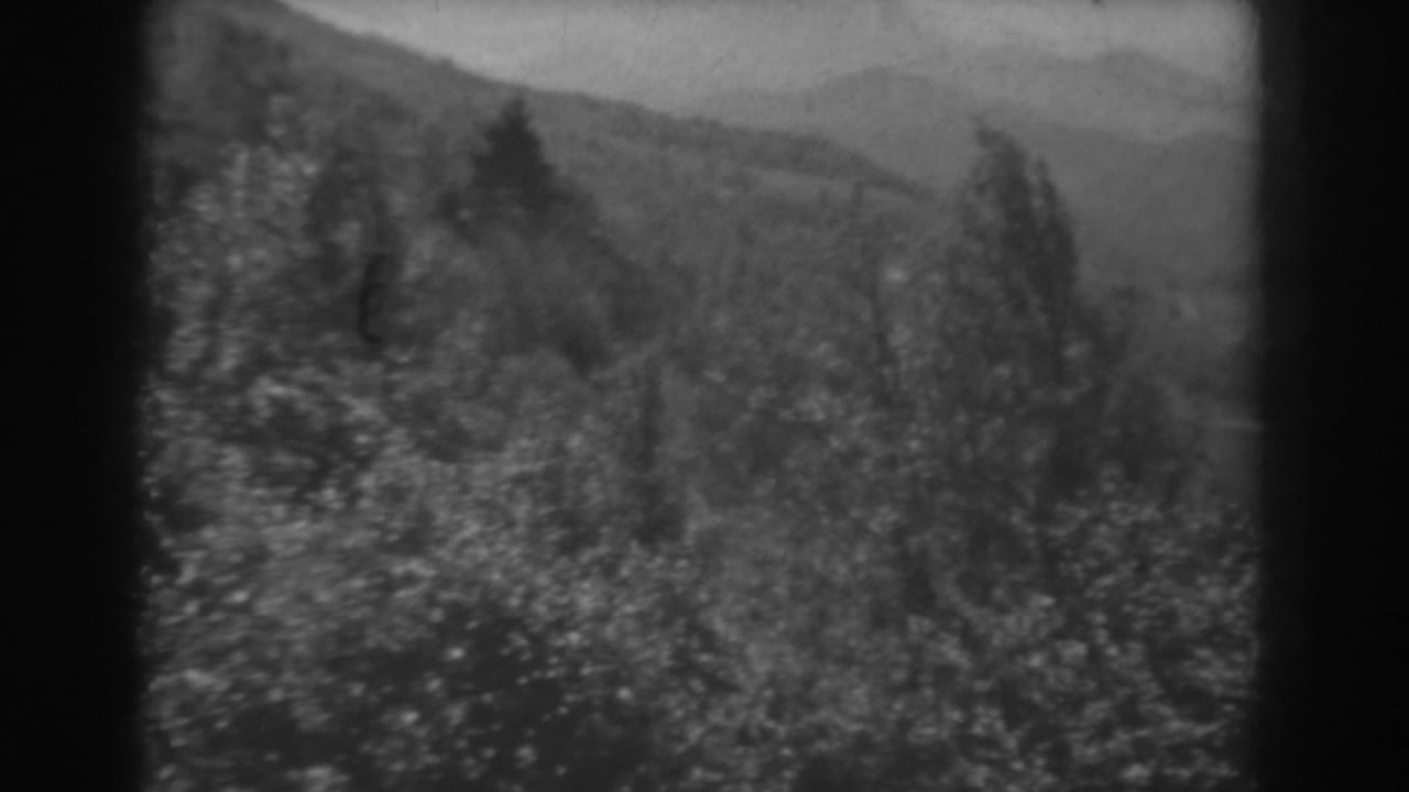 1938 West Virginia home-movie frame with hillside brush, scattered trees, and rolling ridges in soft focus.