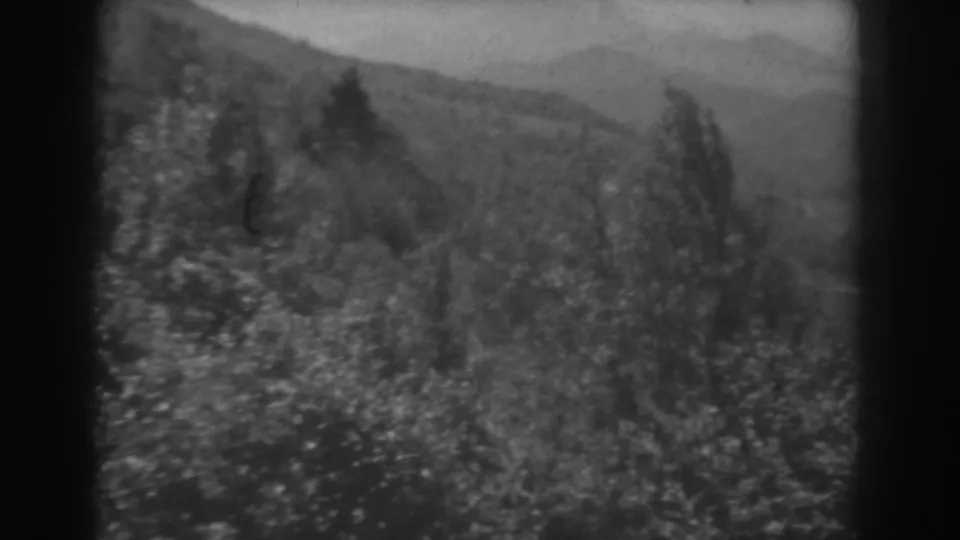 1938 West Virginia home-movie frame with hillside brush, scattered trees, and rolling ridges in soft focus.