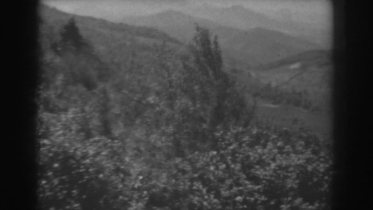 Black-and-white West Virginia 8mm frame showing hillside shrubs, trees, and a distant hazy mountain valley.