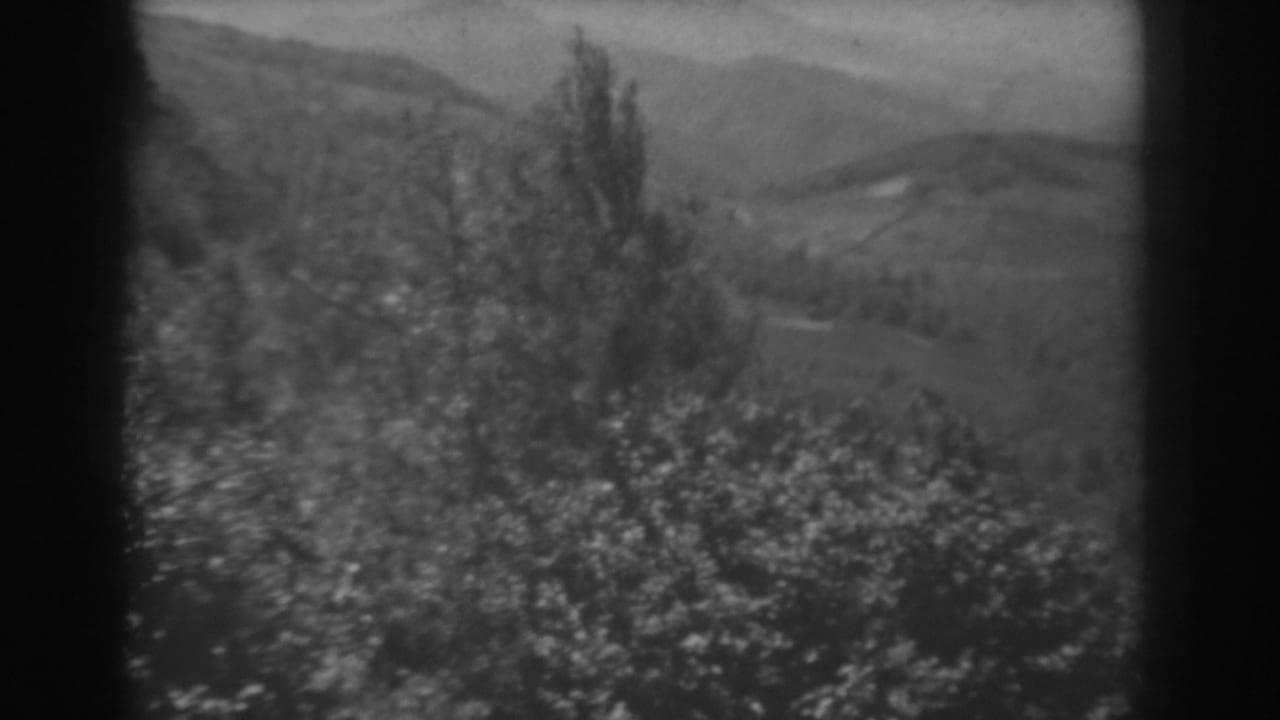 Leafy trees in the foreground with rolling hills beyond.