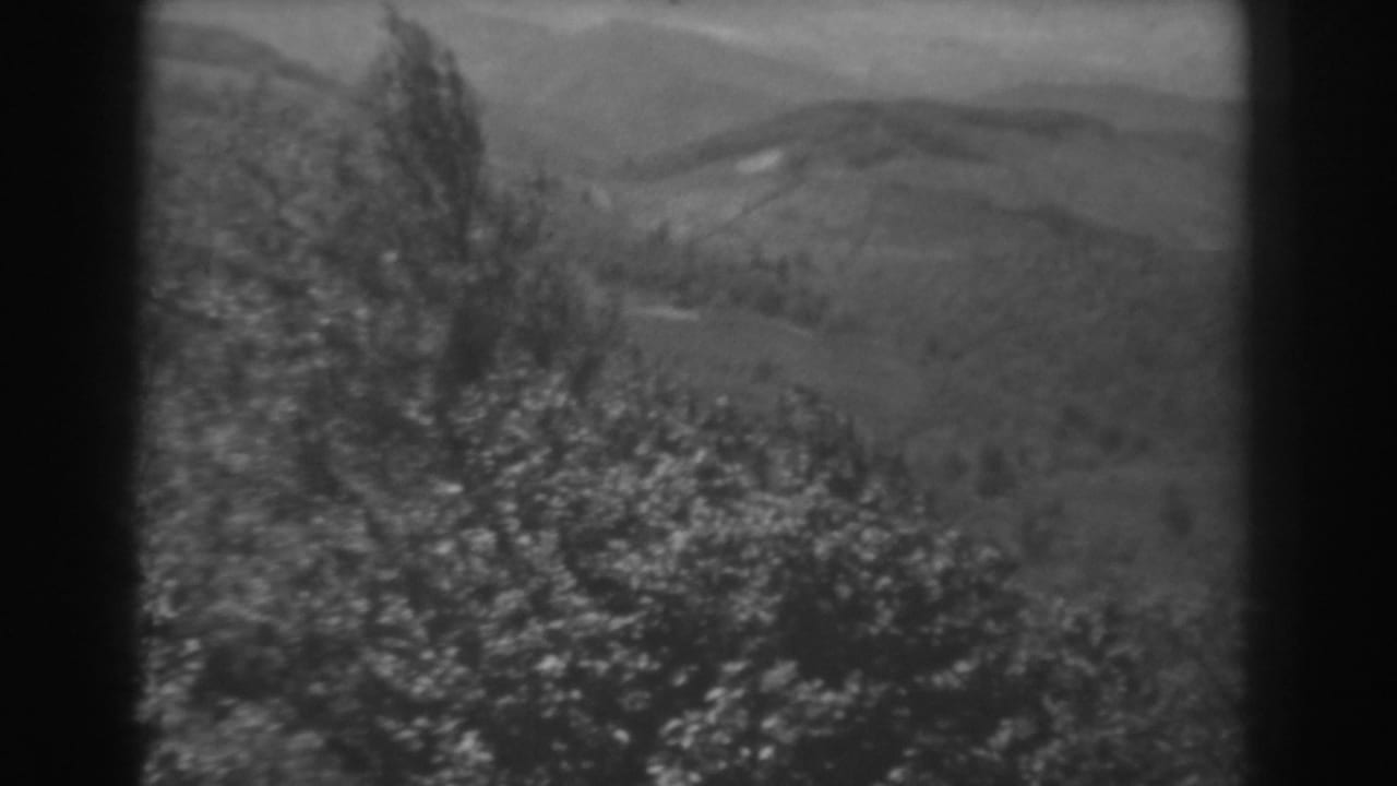 Black-and-white 8mm view of trees against rolling West Virginia hills, with soft grain and bright haze.