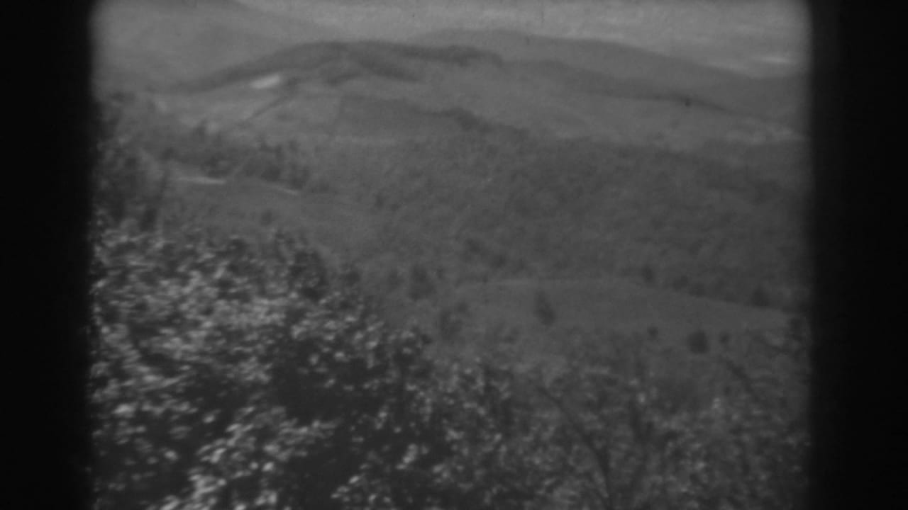 1938 home-movie frame of a rural West Virginia hillside view, with foliage at the lower edge and ridges beyond.