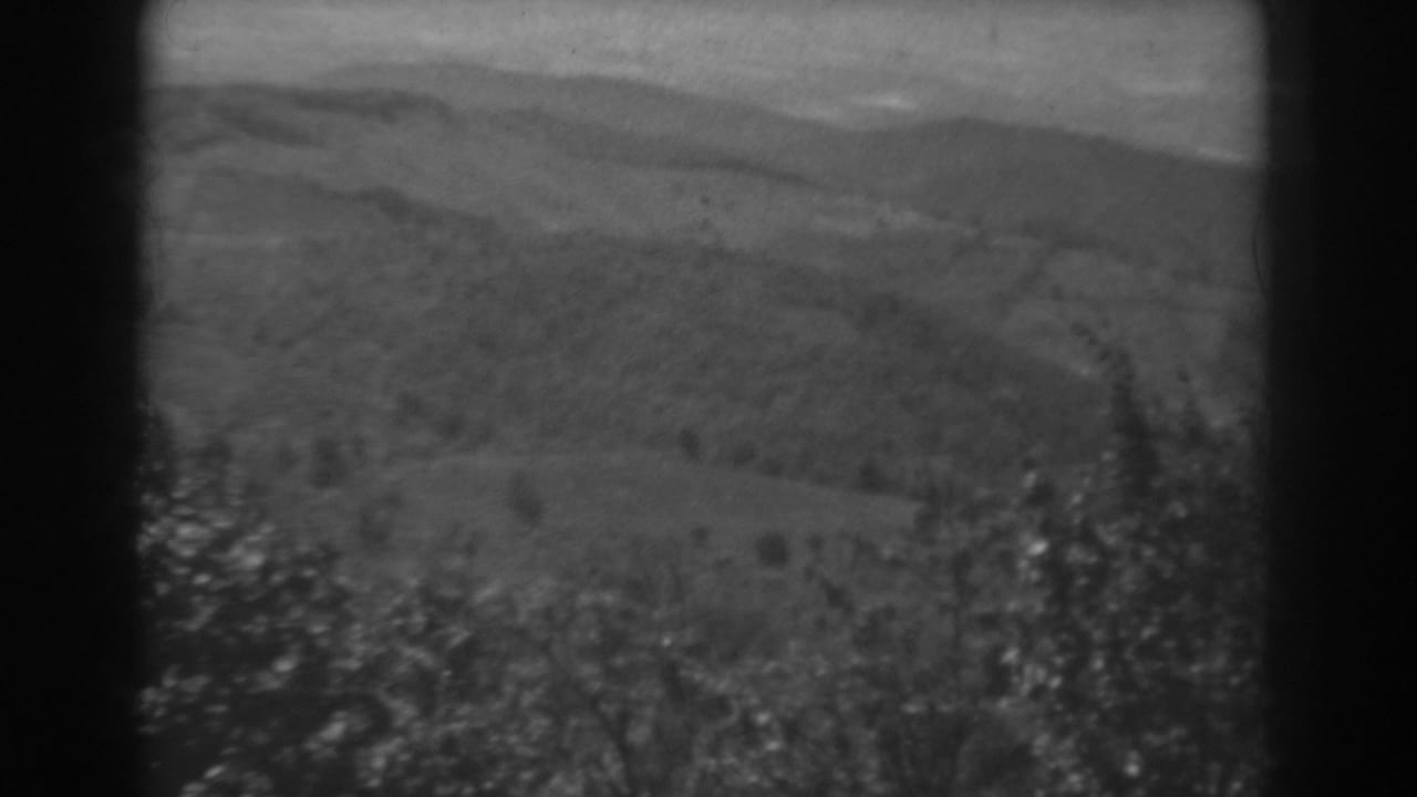 Soft black-and-white 8mm frame showing rolling West Virginia hills and foreground branches during a landscape pan.