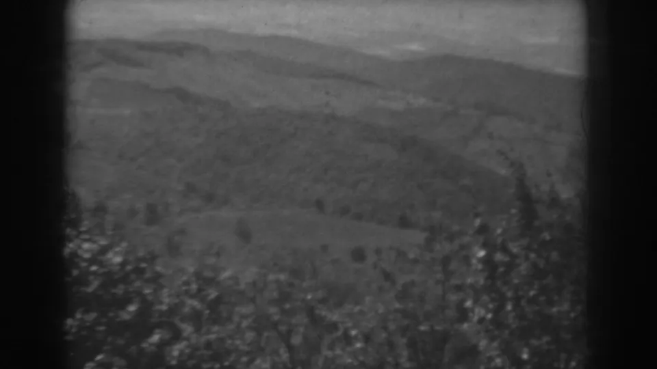 Soft black-and-white 8mm frame showing rolling West Virginia hills and foreground branches during a landscape pan.