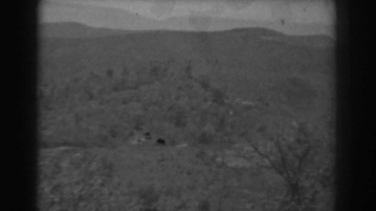 Soft black-and-white view of wooded hills with bare trees in the foreground.