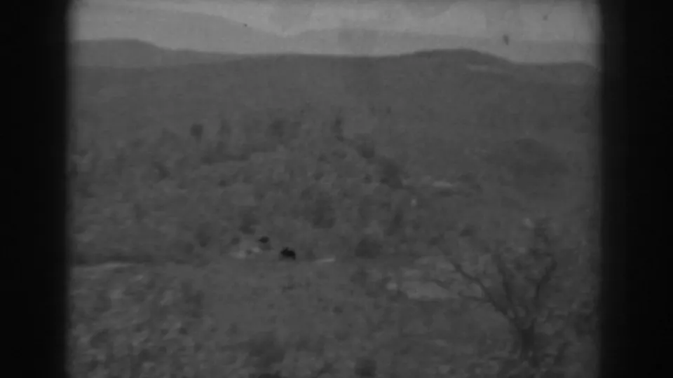 1938 West Virginia 8mm frame showing hazy wooded hills and bare foreground trees through dark film-gate edges.