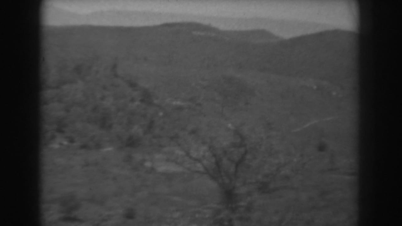 1938 West Virginia landscape frame with rolling wooded terrain, a bare foreground tree, and soft distant ridgelines.