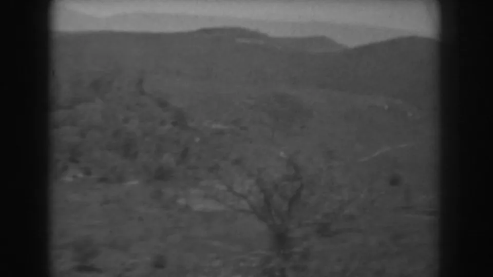 1938 West Virginia landscape frame with rolling wooded terrain, a bare foreground tree, and soft distant ridgelines.
