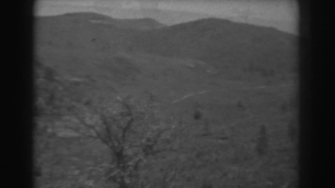 1938 West Virginia home-movie frame looking over a blurred hillside with bare branches and a faint light path or clearing.