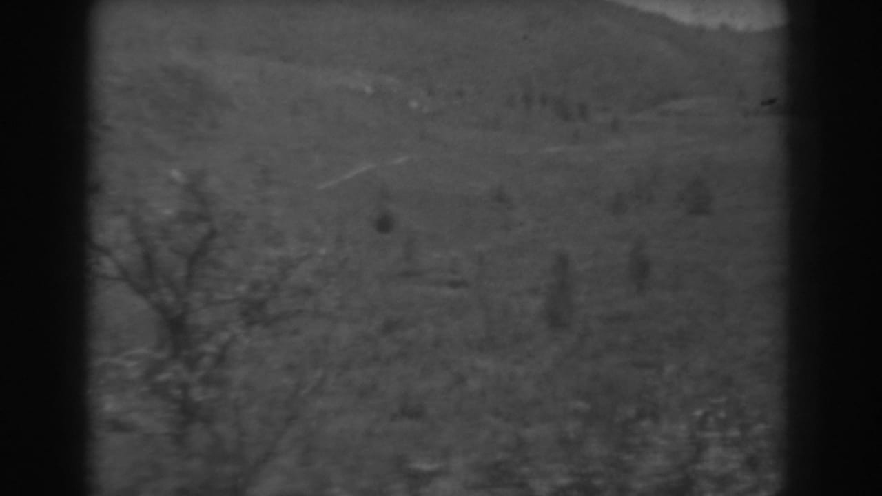 1938 West Virginia 8mm frame with a wooded hillside, bare foreground trees, and hazy ridgelines in soft focus.